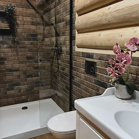 Lejlighed Goralski Dach Nad Glowa Poronin